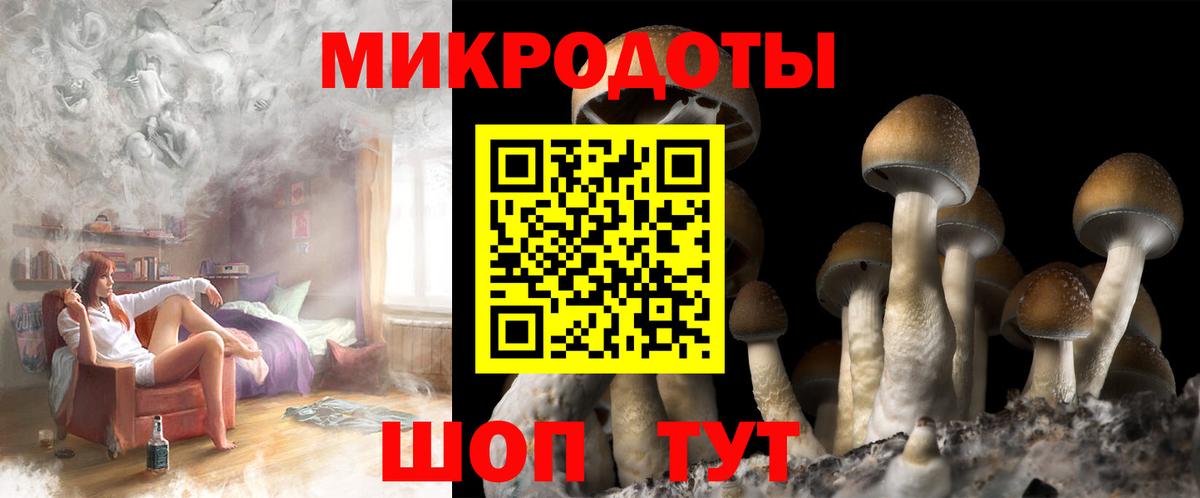 Псилоцибиновые грибы GOLDEN TEACHER Полевской