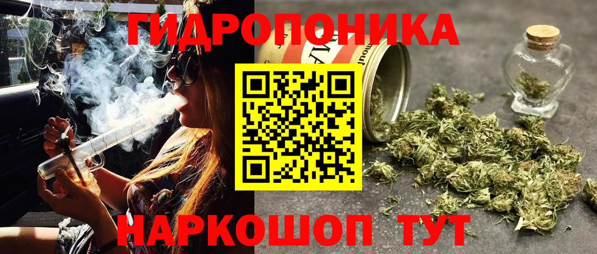 Полевской  Конопля ГИДРОПОН  Вход с VPN  Конопля сатива  Конопля индика 